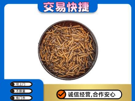 金台区回收散虫草